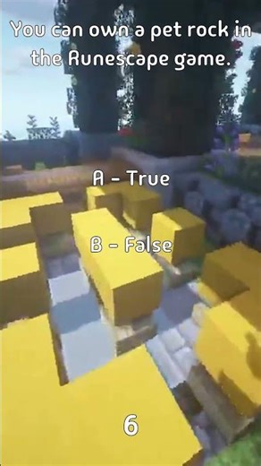 You can own a pet rock in the Runescape game.