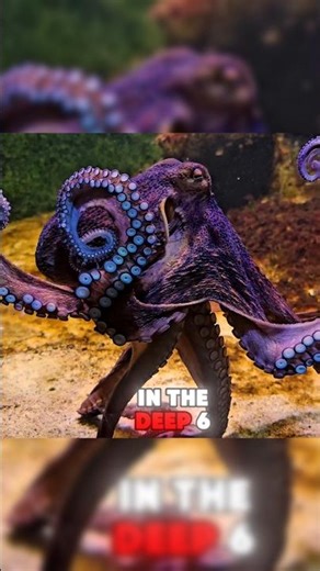amazing Facts About Octopus #facts #foryou #octopus