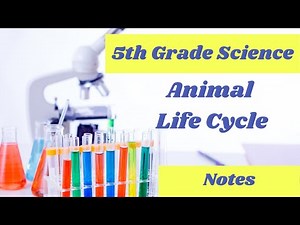 Metamorphosis // life cycles //5th grade science online lesson