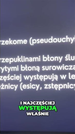 „Uchyłki PRAWDZIWE vs. RZEKOME – różnica, która zmienia wszystko! 🔥👀”