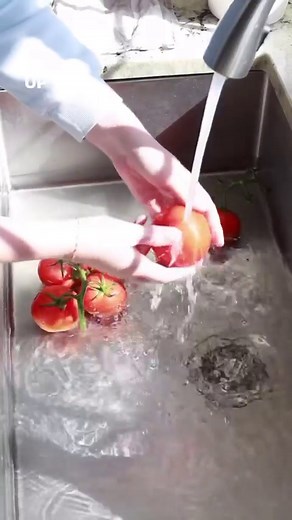 Freezing tomatoes whole is a game changer! These will last a year in the freezer and they defrost in minutes. 🍅 #tomatoes #freezingtomatoes #freezingproduce #harvesttime #tomatoharvest #tomatoes🍅 #recipes #gardenharvest | Homemade Food Junkie