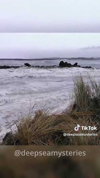 Understanding Sneaker Waves: Nature's Hidden Dangers