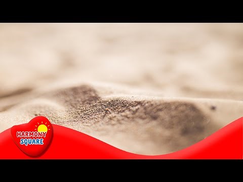 What are Abiotic Factors - More Grades 5-8 Science on the Learning Videos Channel