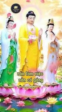 🌅 Daily Dharma Talk – Inner Peace – Maintaining Serenity Amidst a Busy Day #buddhistteachings #bu...