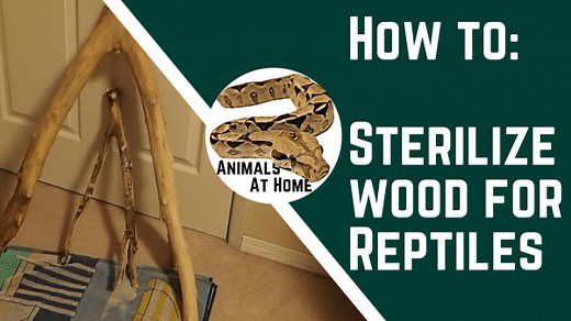 How to Sterilize Wood for Reptiles