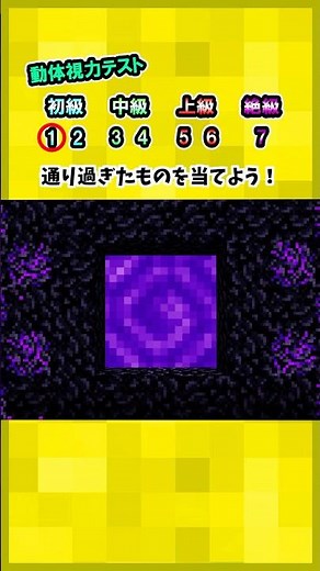 通過したものは何？ #ミニゲーム #クイズ #暇つぶし #minecraft #マインクラフト #マイクラ #shorts
