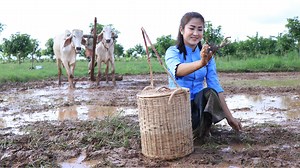 27K views · 1.4K reactions | Catch field crabs in the field before we grow rice - Field crabs recipes Yummy field crabs cooking by Sreypov | FOOD & COOK | Facebook