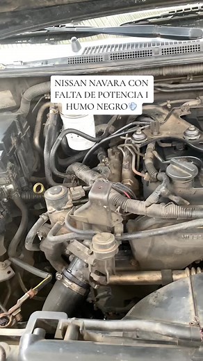 Diagnóstico y Reparación de Fallas en Nissan Navara - Mecánico Especializado