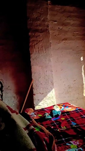 song dekh lay // shorts video//trending video//on YouTube channel