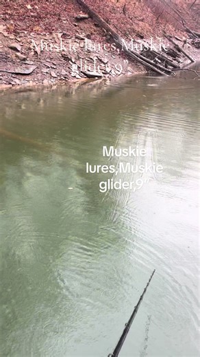 Muskie lures,Muskie glider,9”#JW Lures | muskie