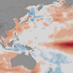 2015-2016 El Niño Triggered Disease Outbreaks Across Globe - NASA