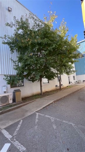 pressure washing job