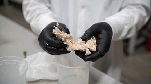The Promise of Alternative Proteins