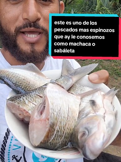 Cómo cocinar el espinoso: recetas y consejos