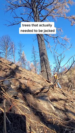 Nick Smith5150 on TikTok