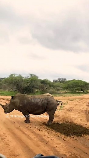 27K views · 37 reactions | The Hippo. | Fun Page | Facebook