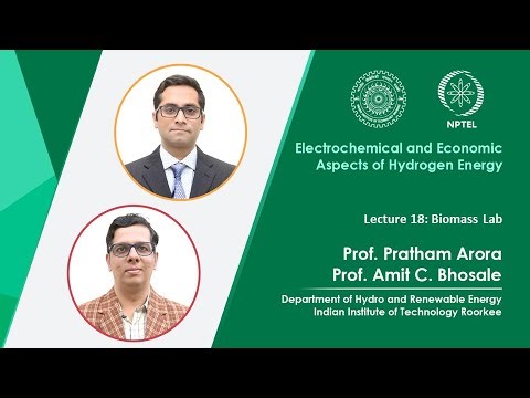 Lec 18: Biomass Lab