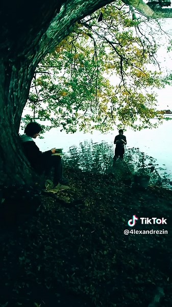 Harry Potter Movie Edits and Highlights