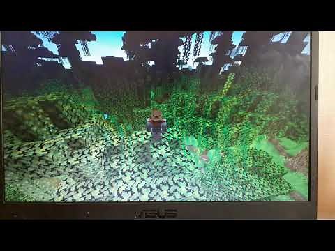 how to fix invisible hand in Minecraft Java Edition (1.17.1)