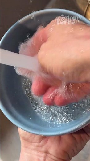 🌿 Aloe Vera Ice Cubes to Soothe Sunburns ☀️❄️