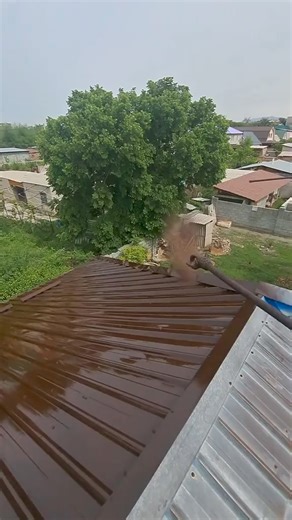 1.2M views · 7.2K reactions | Jamani rangi una nunuwa mwenyewe idadi...