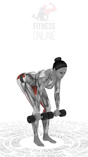 This Gym Workout app helps you master every exercise safely and reach your fitness goals faster.