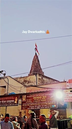 Dwarkadhish mandir 🛕 #shorts #dwarkadhish #temple #youtubeshorts