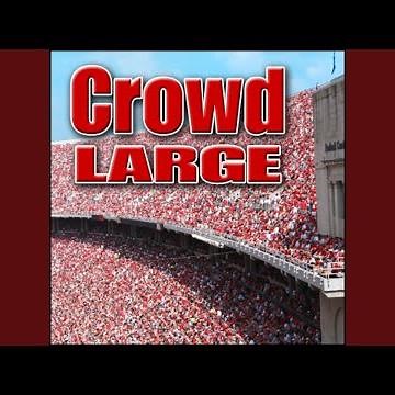 Crowd, Fighting - Ext: Large Crowd Fighting, Rioting, Human Angry, Booing, Hissing, Yelling &...