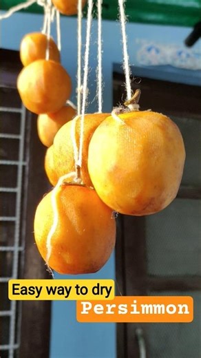 How To Dry Persimmon Fruit 🍑 #shorts #nature #retro #trending