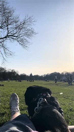 A sunny day with papi 🌞🐶 #chill