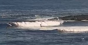 SUP Action Paddleboard Co. on Reels | Facebook