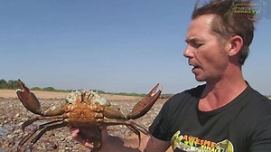Hunting giant mud crabs using traditional methods and cooking over open fire