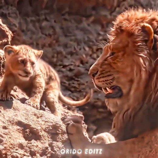 "Jump to me son..." | simba edit | Song: Headlights (feat. KIDDO) - Slowed Version | #shorts
