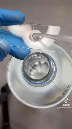 Bottled water sample under the microscope!