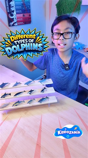 Different Types of Dolphins | Learn Dolphin Names & Fun Facts for Kids
