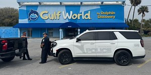 ‘Excessive algae growth’: USDA releases March inspection report on Gulf World