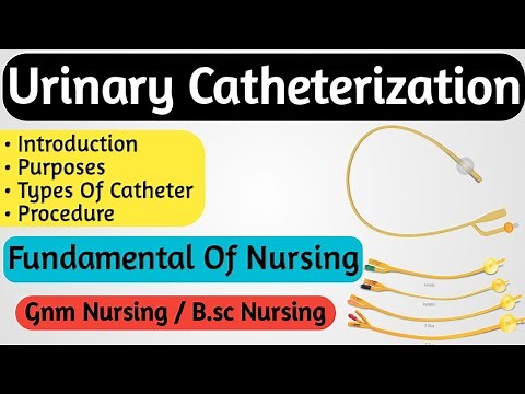Catheterization Procedure Nurses Lecture
