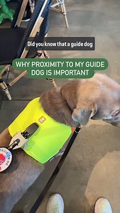 6K views · 906 reactions | As a guide dog team, it is important that...