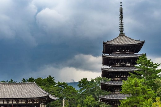 興福寺五重塔の高さはどれぐらい？【木造建築物日本2位の高さ】