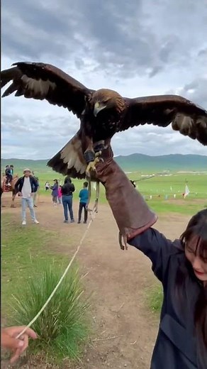몽골 독수리가 무서웠던 지은이... so scare eagles , Jieun, Pocket Girls, 지은, 포켓걸스
