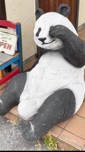 那須に巨大パンダとアジアン中華⁉️アジア人気メニュー揃いぶみのパンダ中華❣️ 熊猫ダイナーが美味面白い‼️ #栃木グルメ #栃木中華 #那須グルメ #那須中華 #那須ランチ #shorts