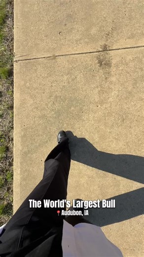 128 reactions · 23 shares | #RoadsideAttractions Did you know? Albert the Bull in Audubon, Iowa, is the world’s largest bull sculpture! Standing at 30 feet tall and weighing 45 tons, he’s been a proud landmark since 1964. Albert the Bull Park: World’s Largest Bull 1108 E Division St, Audubon, IA 50025 #IowaLovers #AlbertTheBull #Landmarks #AudubonIowa | Iowa Lovers | Facebook