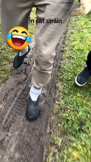 10K reactions · 1K shares | #video #comic #foryou #mamã #da #drumu #la #câini藍藍藍藍 | Domnica Loredana Ciocan | Facebook