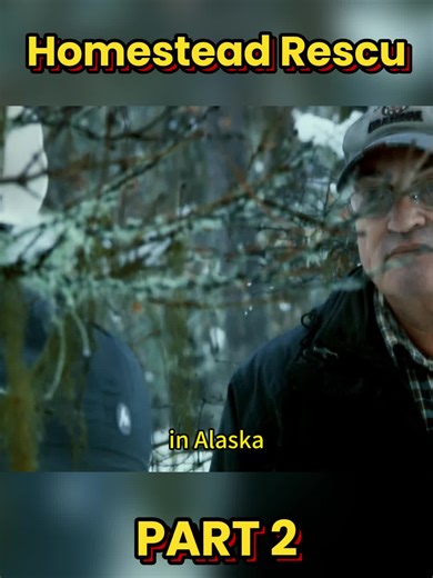 Preparing Your Cabin for Forest Fire Safety