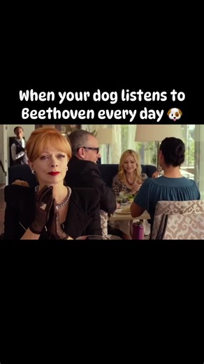 Have you ever seen such a good dog pianist? 😅 @pianoworldwide Credit - Beverli Hills Chihuahua | Enjoy Music and Arts