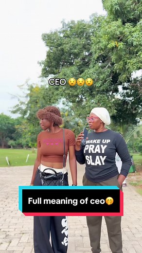 Understanding the Full Meaning of CEO