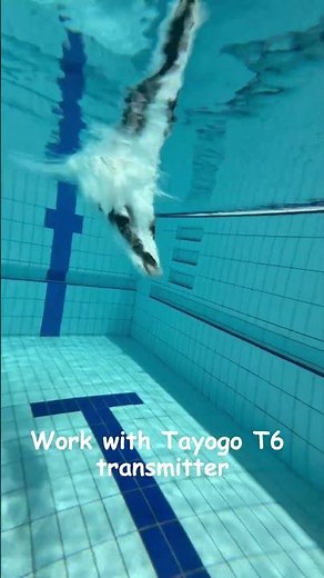 Swim With Stream Music 🎧 Tayogo W24 Swimming Headphones + T6 Transmitter #swimming