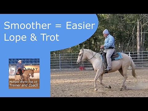 Enhancing Horse Movement: Advanced Horse Training Tips