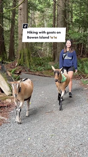 HIKING WITH GOATS ON BOWEN ISLAND (20 MINUTE FERRY RIDE FROM VANCOUVER) 🐐 A guided hike through beautiful lake and mountain scenery, hosted by Pickles and Peanut, French Alpine goat brothers! Their