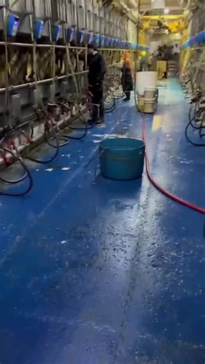 Henriquez 🦅 (@alexanderhenrique750)’s videos with sonido original - el.chapin.todosanterogt